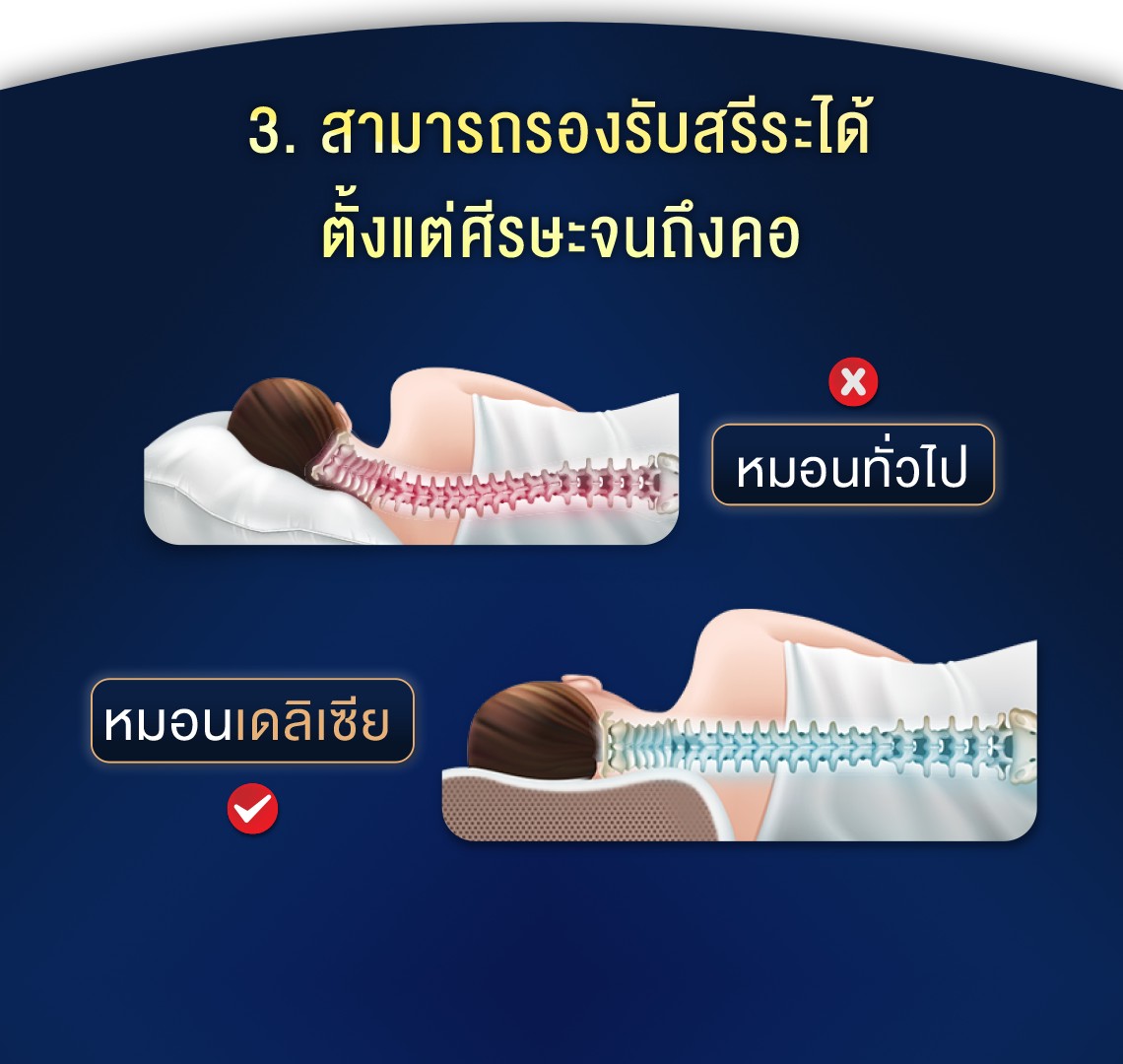 หมอนเดลิเซีย สามารถรองรับสรีระได้ตั้งแต่ศีรษะจนถึงคอ