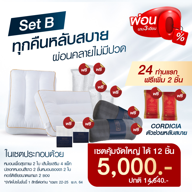 เซต B : หมอน 2 ใบ ฟรี ของแถม 10 ชิ้น